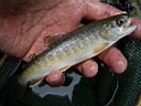 2007-06-15 098.JPG